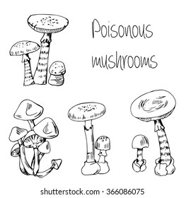Hand drawn Type of poisonous mushrooms