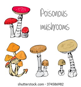 Hand drawn Type of poisonous mushrooms