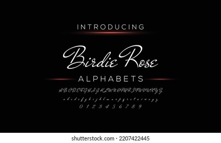 Hand drawn typeface. Handwritten script alphabet isolated on white background. Handmade alphabet for your designs logo, posters, invitations, cards, etc.