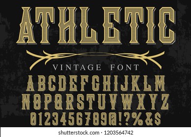 Hand drawn typeface set Brush painted characters lowercase and uppercase. Handwritten script font. Typography alphabet for your designs vintage athletic