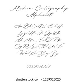 Hand drawn typeface set isolated on white. Brush painted characters: lowercase and uppercase. Vector font. Typography alphabet for your designs: branding, card, wedding invitation. Modern calligraphy