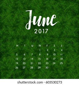 Hand drawn typography lettering on grass background : June 2017 : Vector Illustration