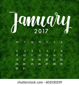 Hand drawn typography lettering on grass background : January 2017 : Vector Illustration