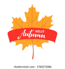 Hand drawn typography lettering phrase Hello Autumn with autumn leaves.   Vector illustration as poster, postcard, greeting card, invitation template. 