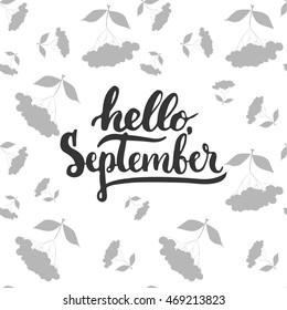 Hand drawn typography lettering phrase Hello, September isolated on the white background with rowan. Fun brush ink inscription for photo overlays, greeting and invitation card or t-shirt print design