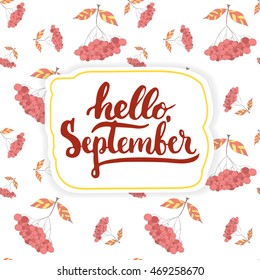 Hand drawn typography lettering phrase Hello, September isolated on the white background with rowan pattern. Fun brush ink calligraphy for photo overlays, greeting and invitation card or print design