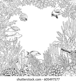 Hand drawn underwater natural elements  Sketch reef corals   swimming fishes   Monochrome frame and space for text  Black   white illustration coloring page 
