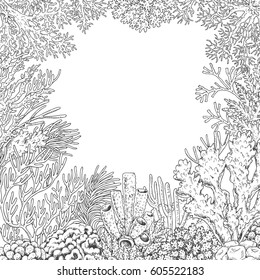 Hand drawn underwater natural elements. Sketch of reef corals background.  Monochrome frame with space for text. Black and white illustration coloring page.