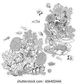 Hand drawn underwater natural elements  Sketch reef corals   swimming fishes  Monochrome coral colony rock  Black   white illustration coloring page 
