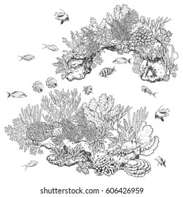 Hand drawn underwater natural elements  Sketch reef corals   swimming fishes  Monochrome coral colony rock  Black   white illustration coloring page 