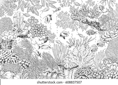 Underwater Sketch Hd Stock Images Shutterstock