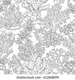 Hand drawn underwater natural elements. Seamless pattern with reef corals. Sea bottom monochrome texture. Black and white illustration coloring page. Vector sketch.