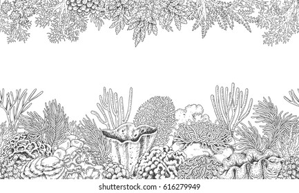 Hand drawn underwater natural elements. Seamless line horizontal pattern with reef corals. Monochrome sea bottom texture. Black and white illustration. Vector sketch.