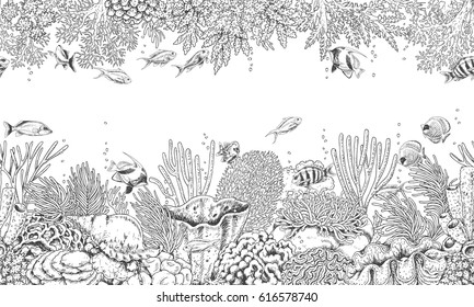 Hand drawn underwater natural elements  Seamless line horizontal pattern and reef corals  actinia  clams   swimming fishes  Monochrome sea bottom texture  Black   white illustration