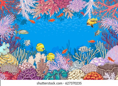 Hand drawn underwater natural elements. Sketch of reef corals  and  vivid swimming fishes. Undersea world theme background. Colored horizontal rectangle frame with space for text. 