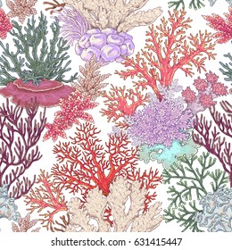 Hand drawn underwater natural elements. Coral reef seamless pattern. Vivid corals on white background. Undersea bottom texture.