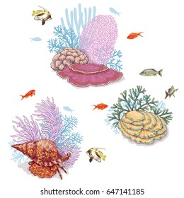 Hand drawn underwater natural elements. Sketch of vivid reef corals and swimming fishes isolated on white background. 