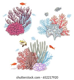 Hand drawn underwater natural elements  Sketch vivid reef corals   swimming fishes isolated white background  