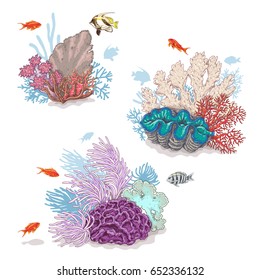 Hand drawn underwater natural elements. Sketch of vivid reef corals and swimming fishes isolated on white background. 