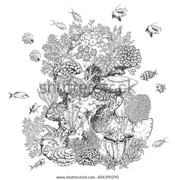 手描きの水中自然エレメント 珊瑚礁と水泳魚のスケッチ 岩の上に白黒のサンゴ群 白黒のイラストのカラーリングページ のベクター画像素材 ロイヤリティフリー