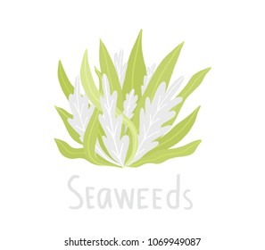 Hand drawn underwater seaweed elements isolated on white background. vector illustration. EPS 10