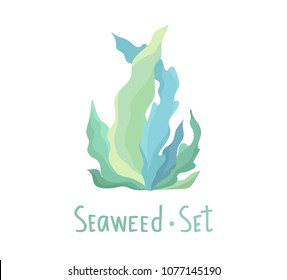 
Hand drawn underwater seaweed elements set isolated on white background. Vector illustration. EPS 10