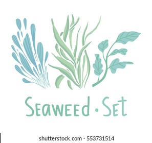 Hand drawn underwater seaweed elements set isolated on white background. vector illustration. EPS 10