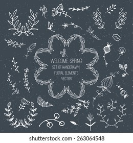 Hand drawn and unique floral doodle set. Free hand collection