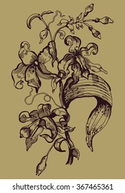 hand drawn  vanilla branch vector illustration