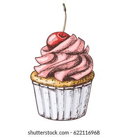 Hand drawn vanilla cupcake with cherry on top, vintage colorful food sketches, isolated on white background. Vector illustration.