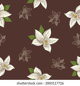 Hand Drawn Vanilla Flowers in Vintage Style Seamless Pattern for background, backdrop, wrapping paper, menu, recipe, fabric, textile, web, decor, wallpaper, spa, aroma and beauty care products