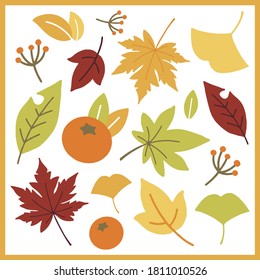 hand drawn variety of autumnal leaves.