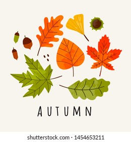 Hand drawn various autumn leaves, acorn and chestnut. Colored vector trendy illustration. Flat design. Stamp texture. All elements are isolated