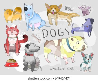 Hand drawn various breeds of dogs. Colored doodle vector set