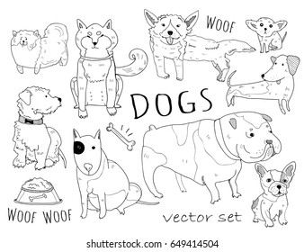 Hand drawn various breeds of dogs. Graphic doodle vector set