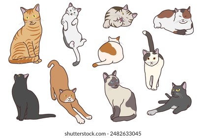 Hand drawn various cat illustration