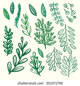 Hand drawn various leaves vector set