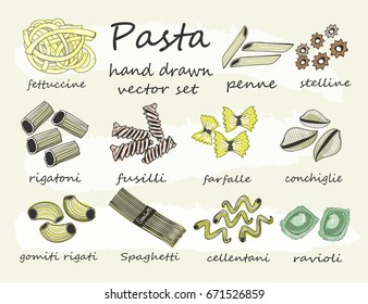 Hand drawn various sorts and shapes of pasta. Colored graphic vector set. All elements are isolated 