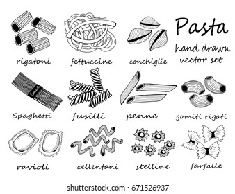 Hand drawn various sorts and shapes of pasta. Graphic vector set. All elements are isolated 