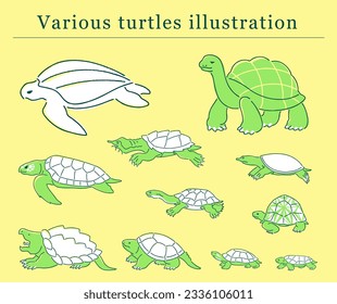 hand drawn various turtles  illustration set