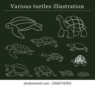 conjunto de ilustraciones de tortugas dibujadas a mano