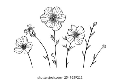 Hand drawn various wild flowers isolated on white background