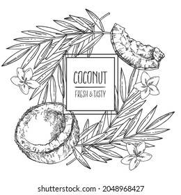 Hand drawn vectir botanical coconut illustration. Exotic nuts with leaves in a shell. Healthy nature organic food pieces. Isolated outline images for design, packaging, menu