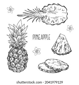 Hand drawn vectir botanical pineapple illustration. Exotic fruit with leaves. Healthy nature organic food pieces. Isolated outline images for design, packaging, menu