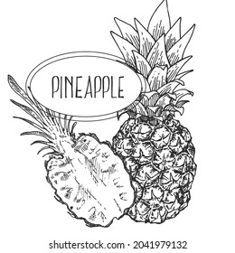 Hand drawn vectir botanical pineapple illustration. Exotic fruit with leaves. Healthy nature organic food pieces. Isolated outline images for design, packaging, menu