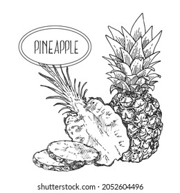 Hand drawn vectir botanical pineapple illustration. Exotic fruit with leaves. Healthy nature organic food pieces. Isolated outline images for design, packaging, menu