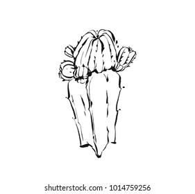 Hand drawn vector abstract artistic ink textured graphic sketch drawing illustration of succulent cactus plant with flowers isolated on white background.