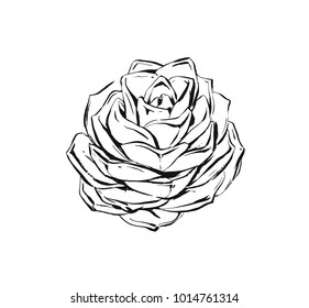 Hand drawn vector abstract artistic ink textured graphic sketch drawing illustration of succulent cactus plant with flowers isolated on white background.