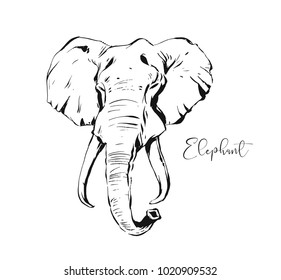 Hand drawn vector abstract artistic ink textured graphic sketch drawing illustration of wildlife indian elephant head isolated on white background.