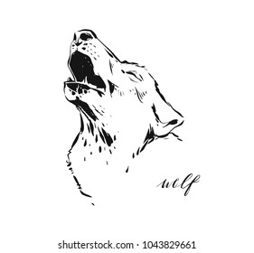 Hand drawn vector abstract artistic ink textured graphic sketch drawing illustration of wildlife wolf head isolated on white background.